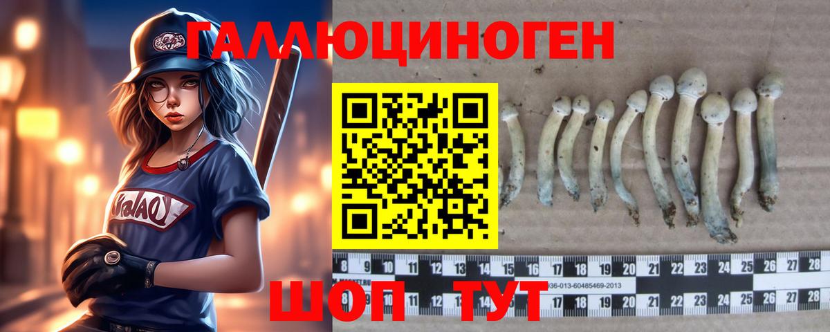 Алатырь  Псилоцибиновые грибы мухоморы  Вход с VPN  Галлюциногенные грибы MAGIC MUSHROOMS 